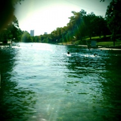 barton-springs