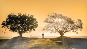 Crescendo-Creative-consultation